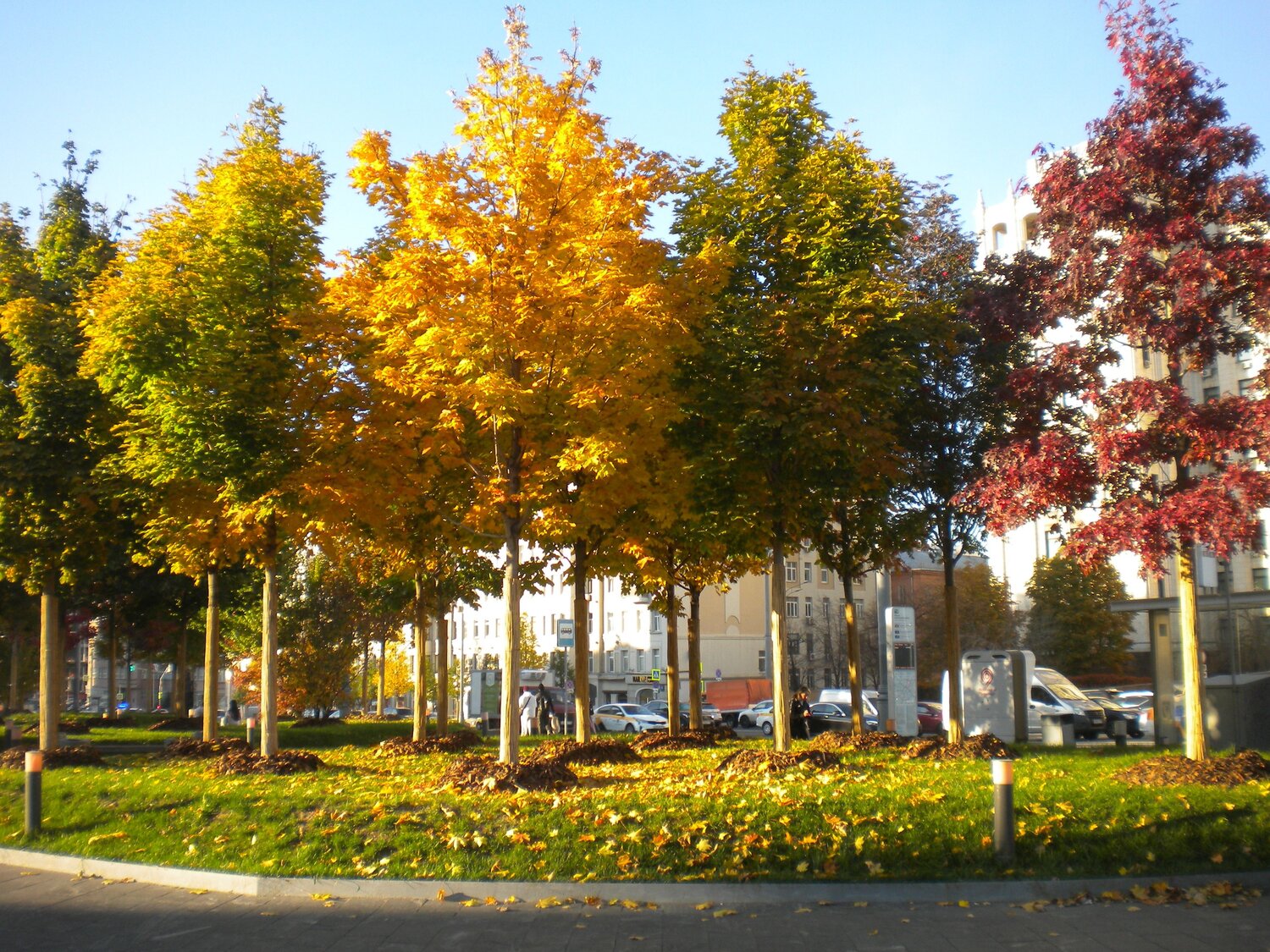 Photo #6600113