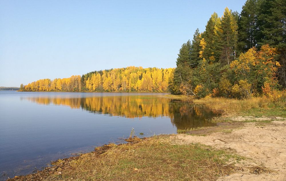 Photograph by Галина Щипакина