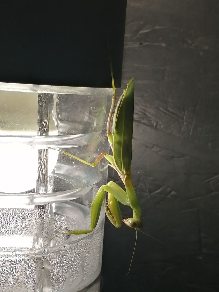 Фотография автора Кравцова Светлана