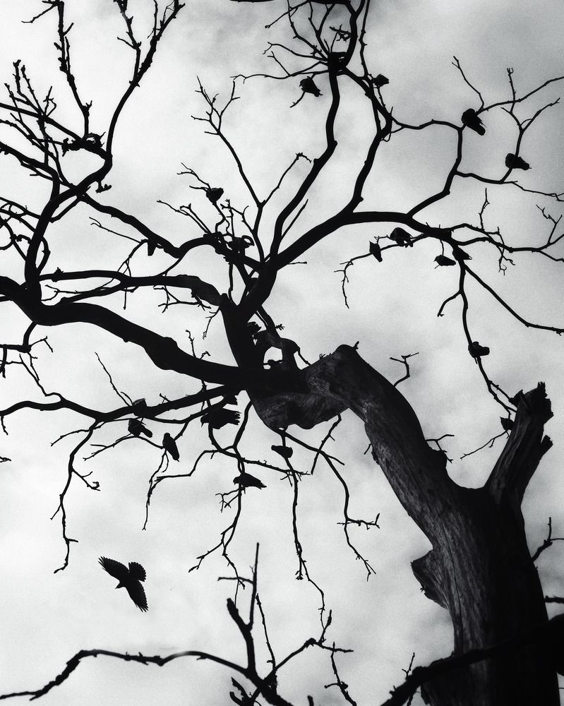 Photograph by Андрей Ежков