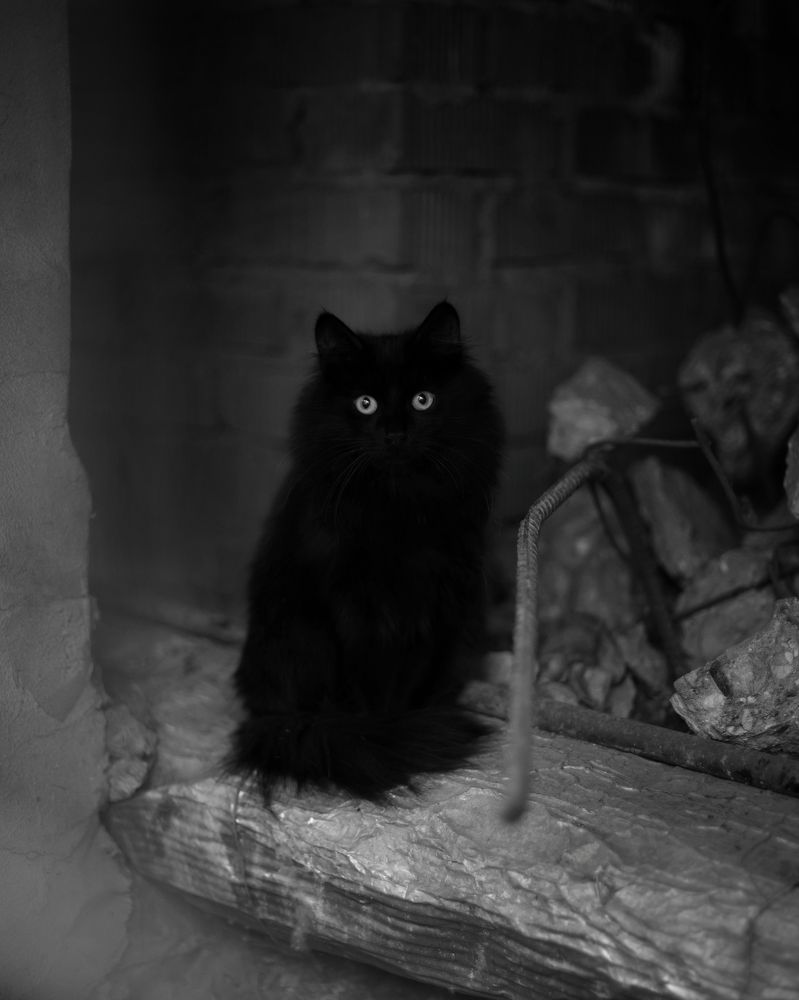 Photograph by Андрей Ежков