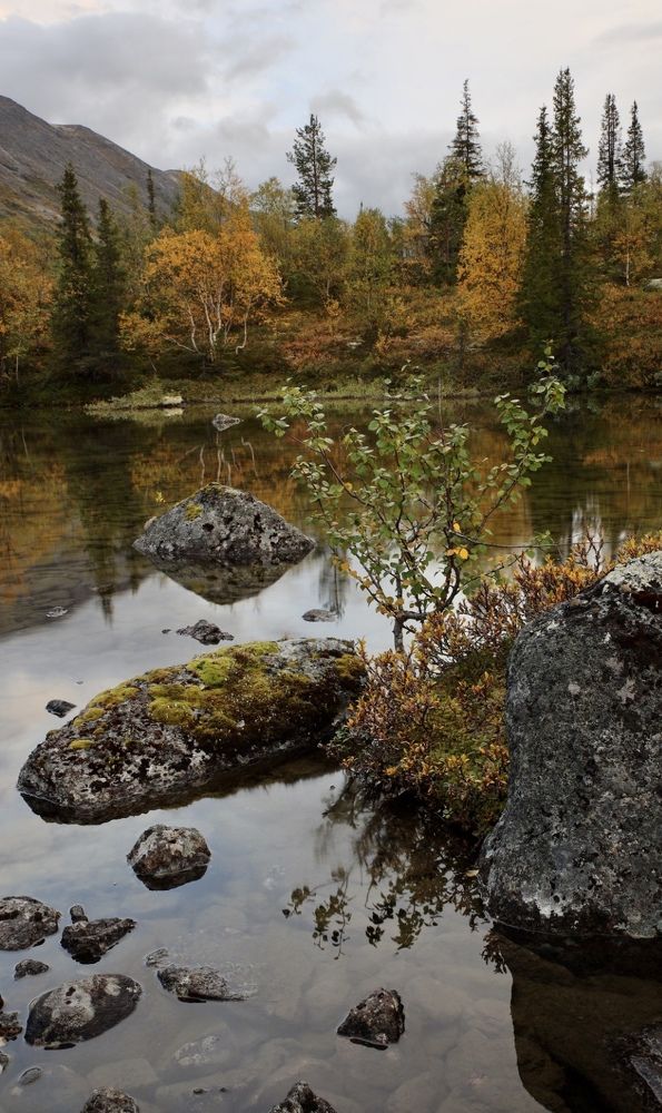 Photograph by Ольга Одаренко