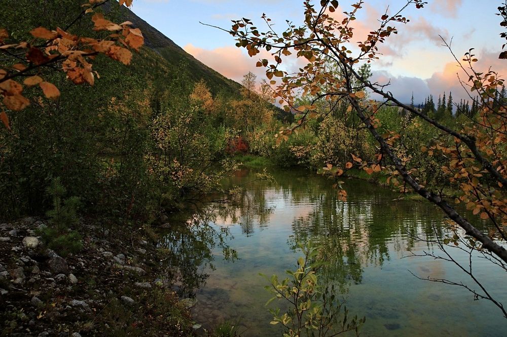 Photograph by Ольга Одаренко