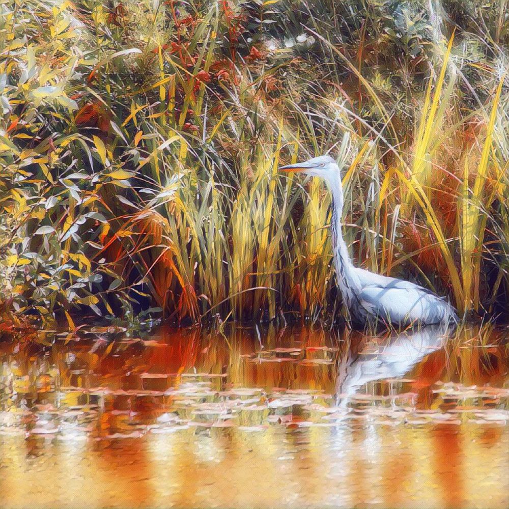 Photograph by Darius L.