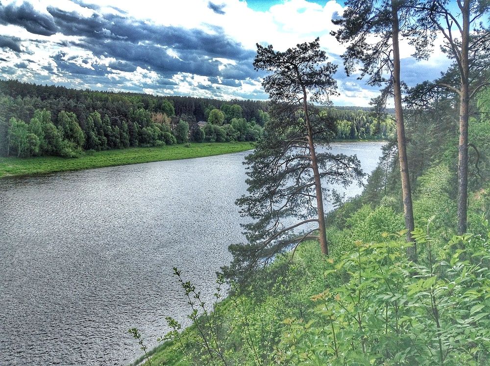 Photograph by Darius L.