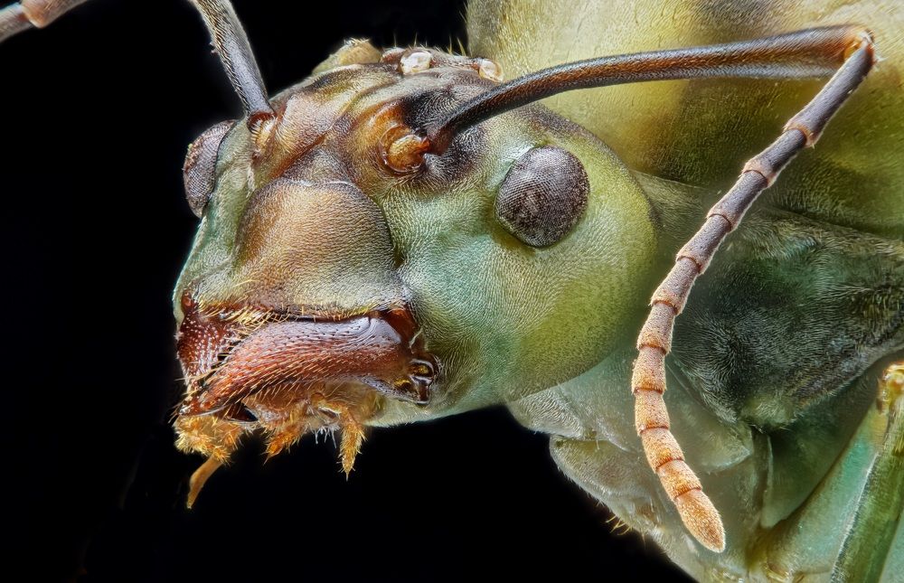 Photograph by Catherine Chong