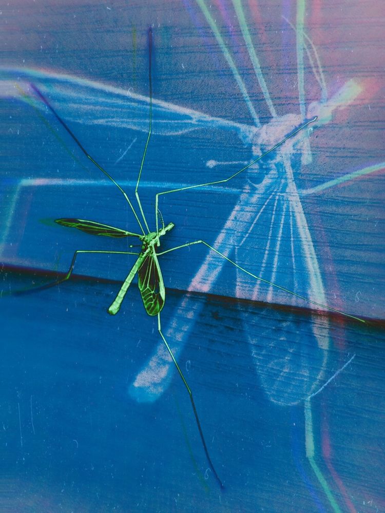 Photograph by Влад Имиров