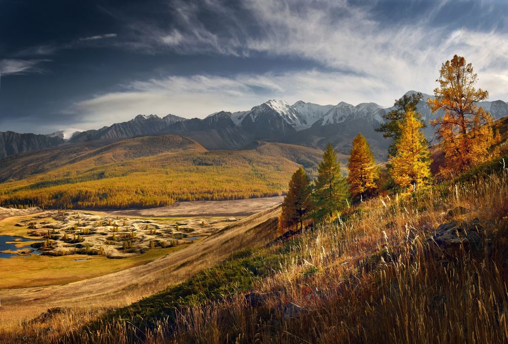 Photograph by Светлана Крат