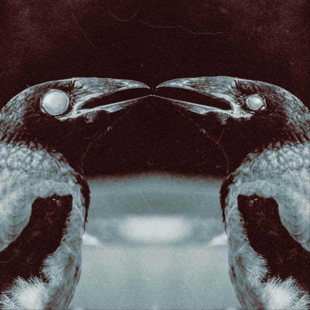 Photograph by Влад Имиров