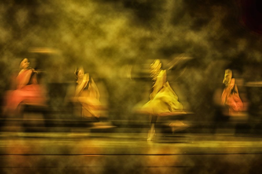 Photograph by Chamara Sulakkhana Polwatta Siriyalage