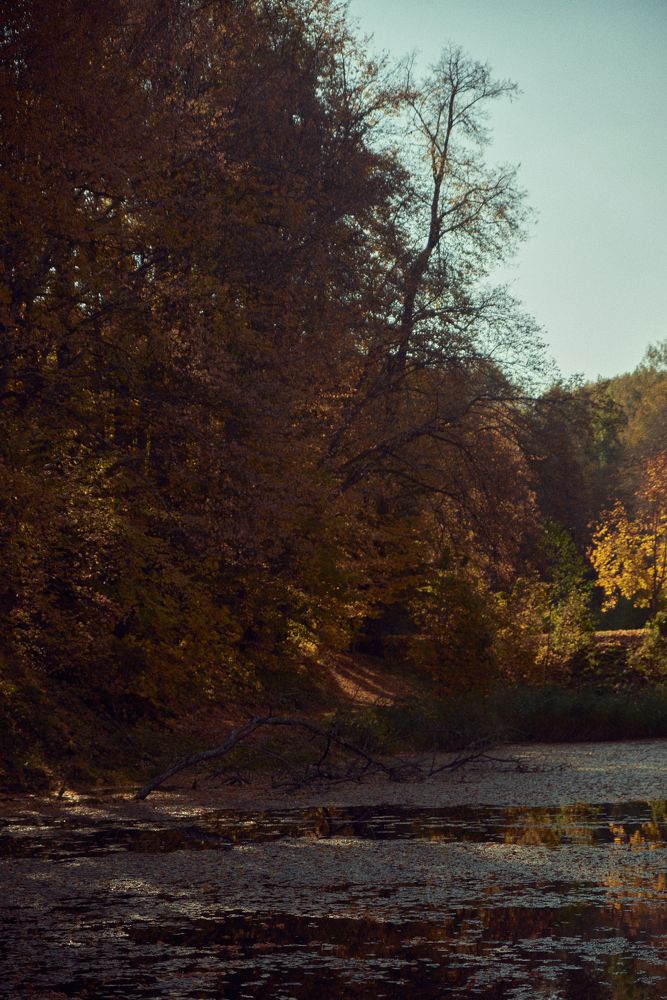 Photograph by Дарья Мицкевич