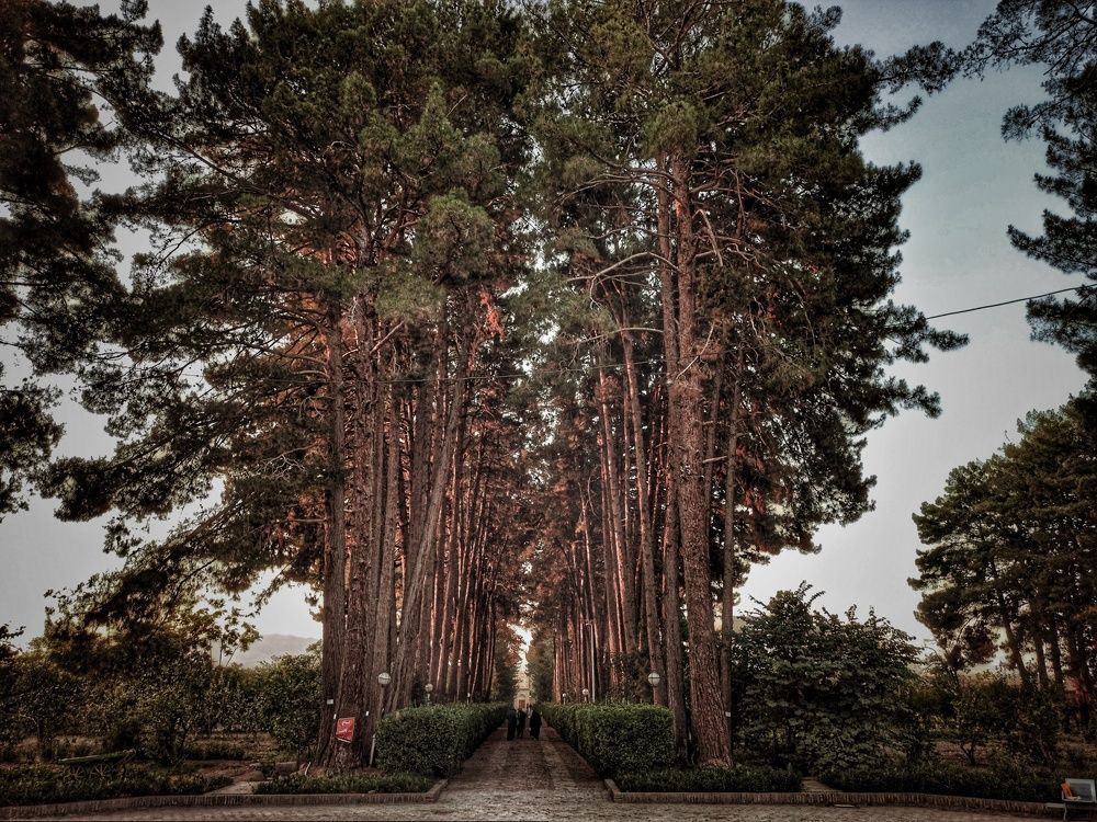 Photograph by Hannaneh Akhoondi