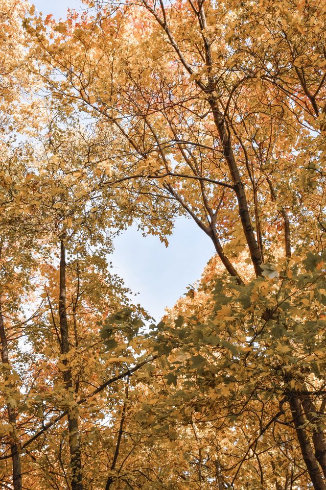 Photograph by Olga Yankus