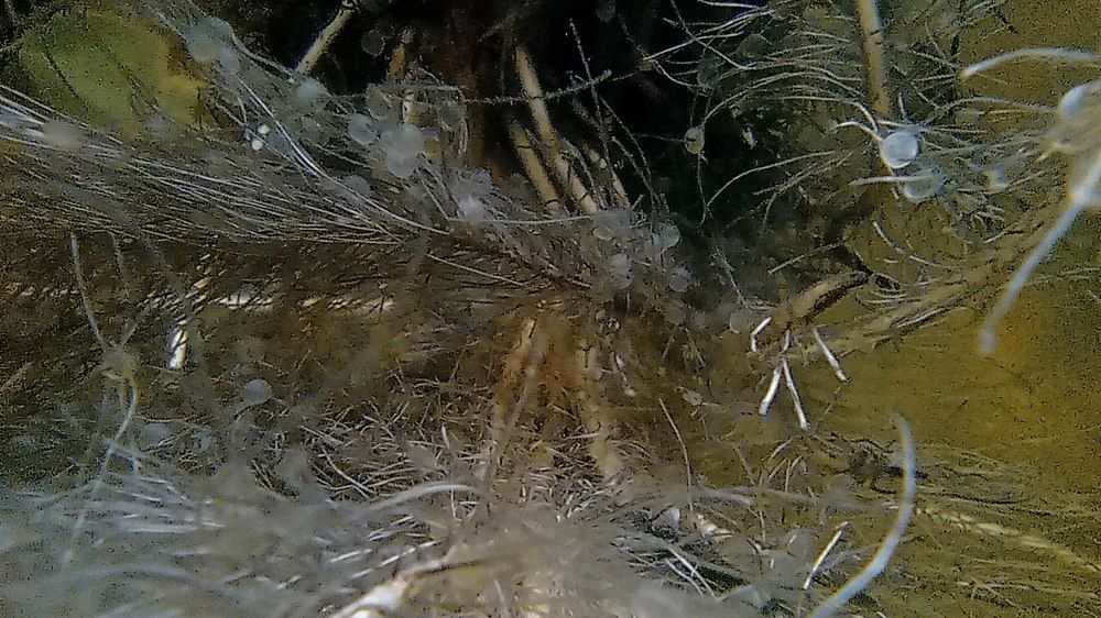 Photograph by Baraya Rocky