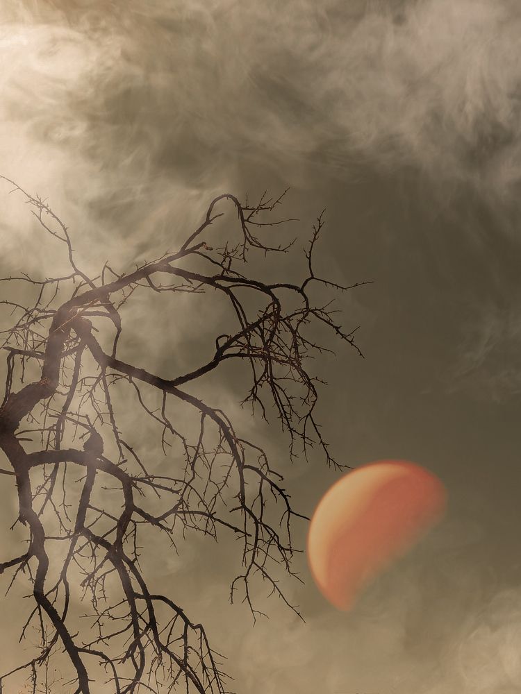 Photograph by Hannaneh Akhoondi