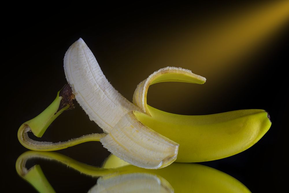 Photograph by Michael Mettier