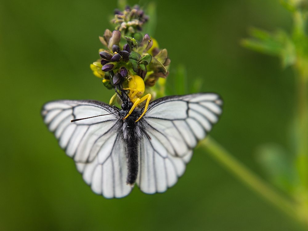 Photograph by Людмила