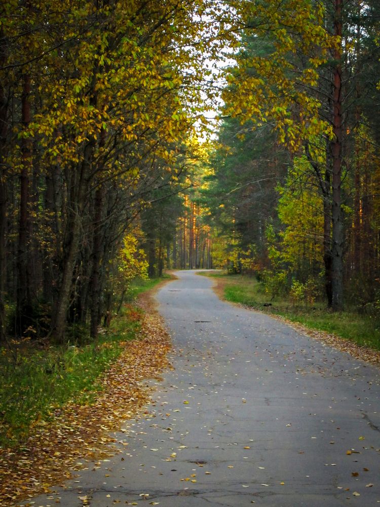 Photograph by Ubare Kelle