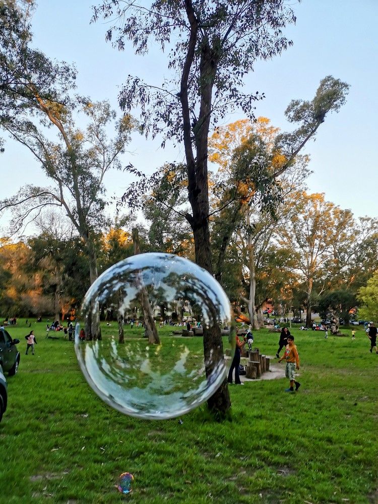 Photograph by Daniel Núñez