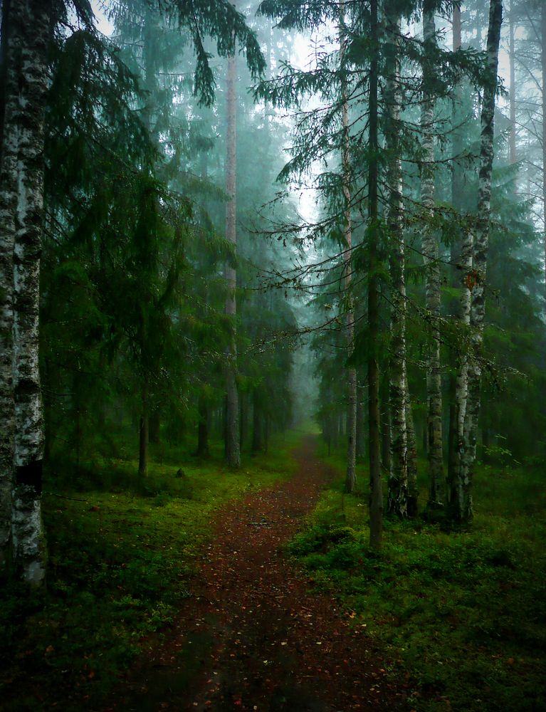 Photograph by Ubare Kelle