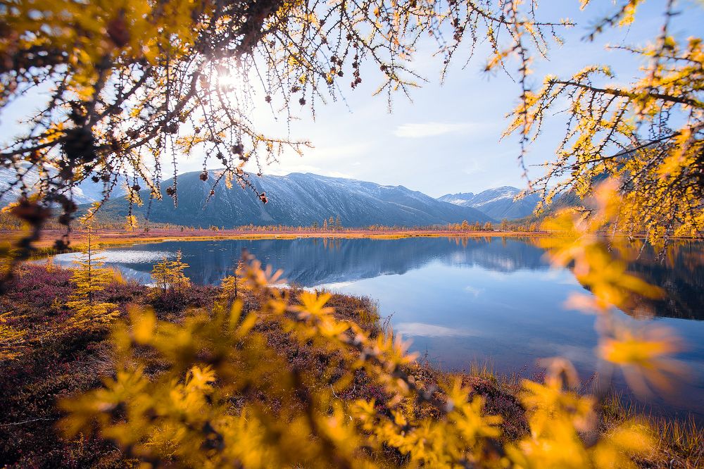 Photograph by Владимир Кочкин