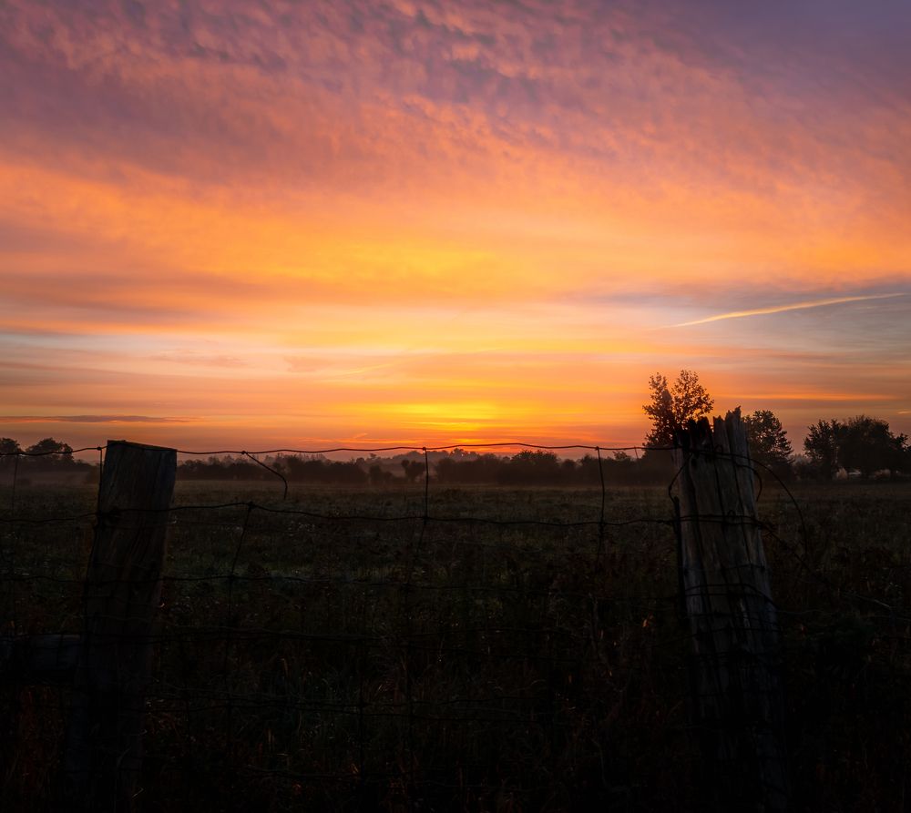 Photograph by Greg Noakes