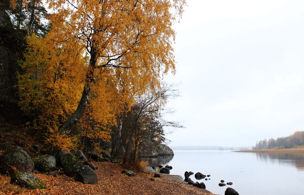 Photograph by Jul Owl