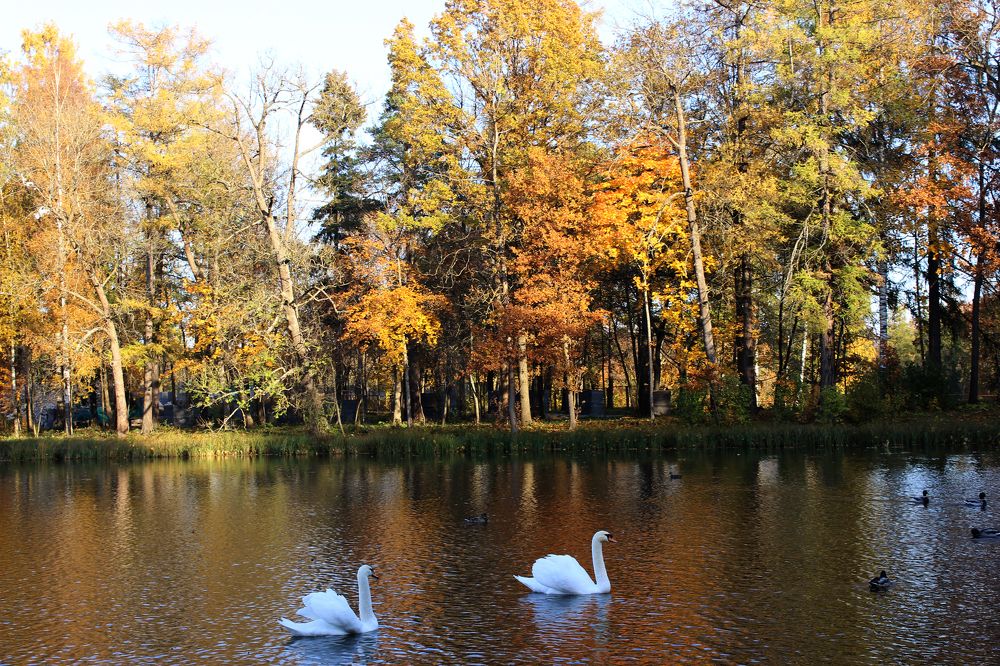 Photograph by Jul Owl