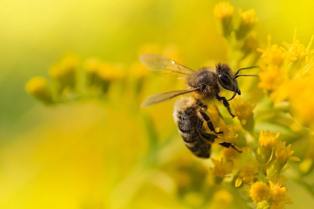 Photograph by Расторгуева Оксана