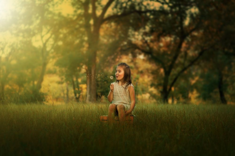 Photograph by Gustavo Iommi