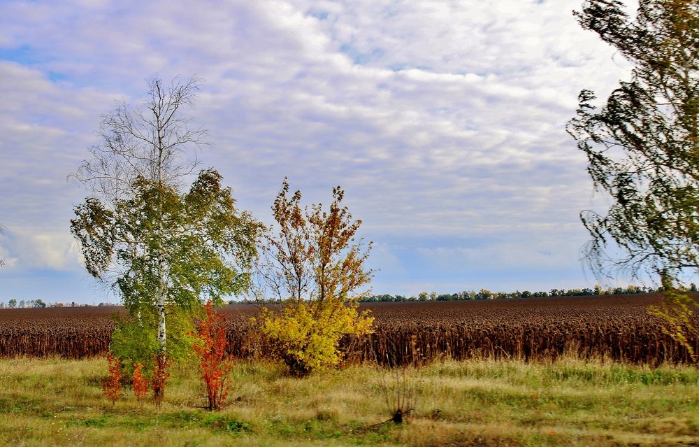 Photograph by Анна Восковых