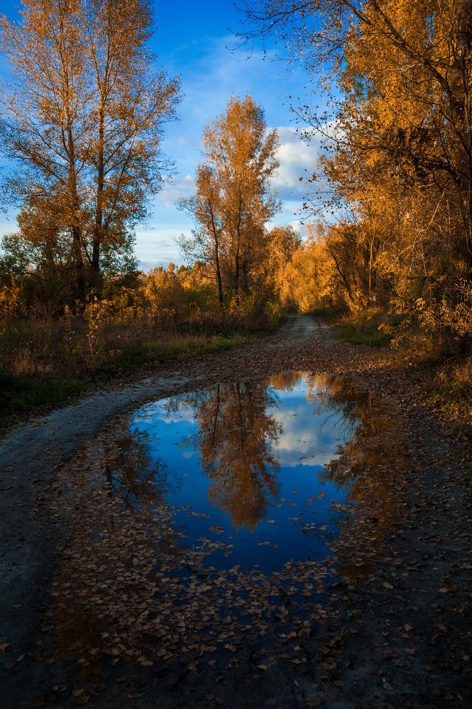 Photograph by Расторгуева Оксана