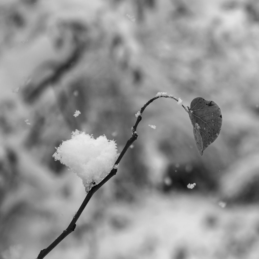 Photograph by Kondylenia Mpousmpoura