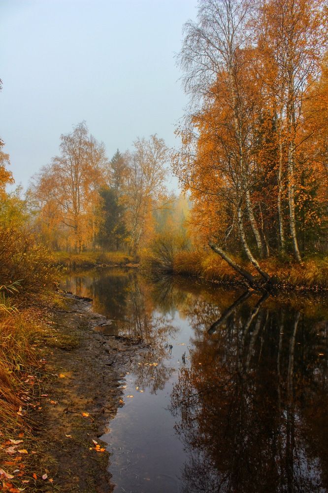 Photograph by Мария Василенко