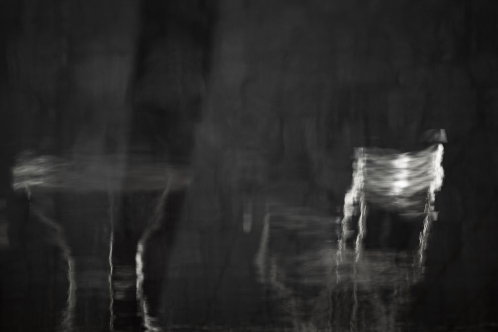 Photograph by Kondylenia Mpousmpoura