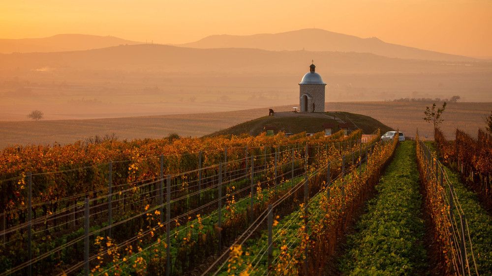 Photograph by Геннадий