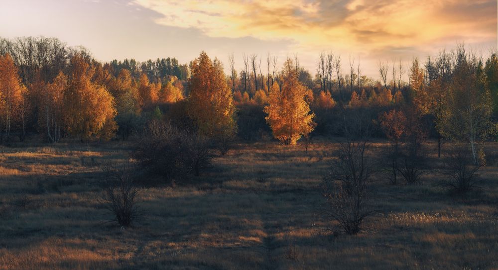 Photograph by Алексей Федоров