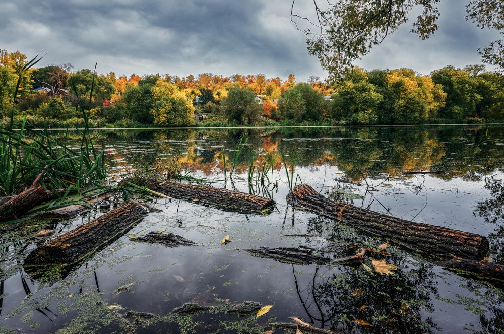 Photograph by Алексей Федоров