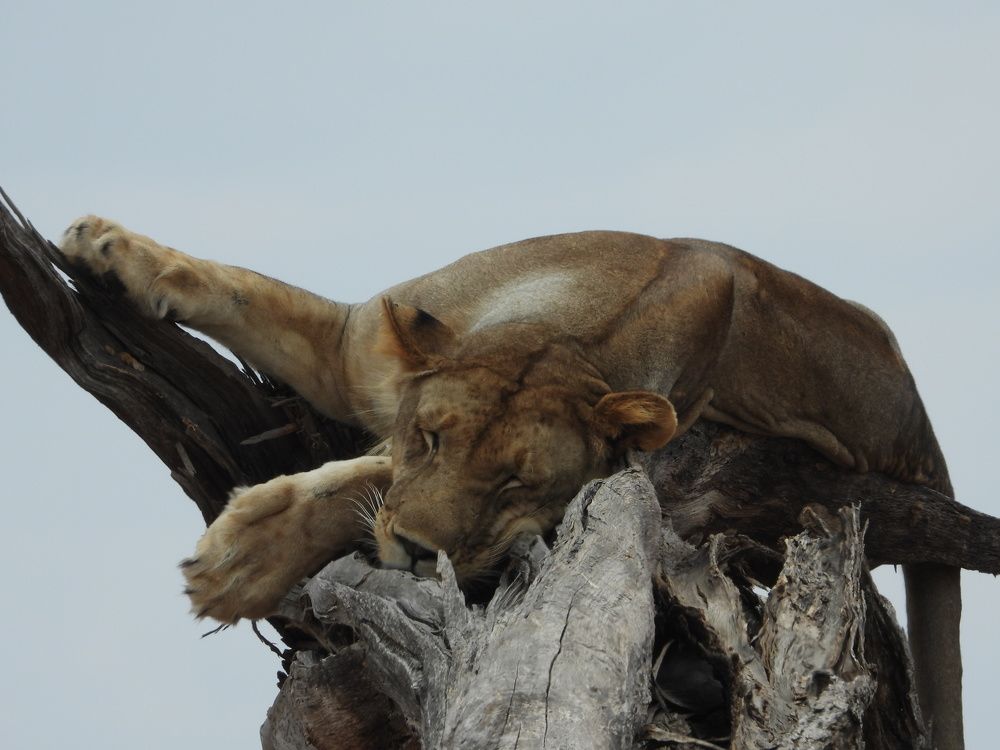 Photograph by Марина Осипова