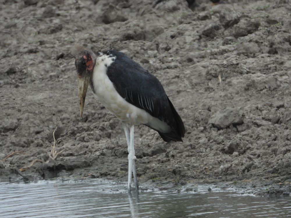 Photograph by Марина Осипова