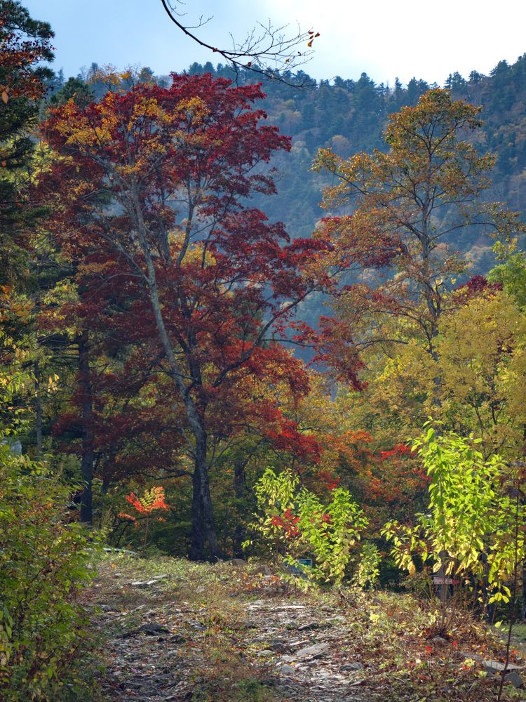 Photograph by Матвей Матвеев