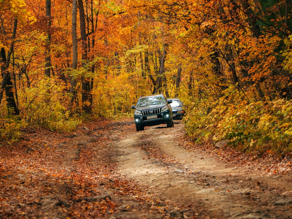 Photograph by Матвей Матвеев