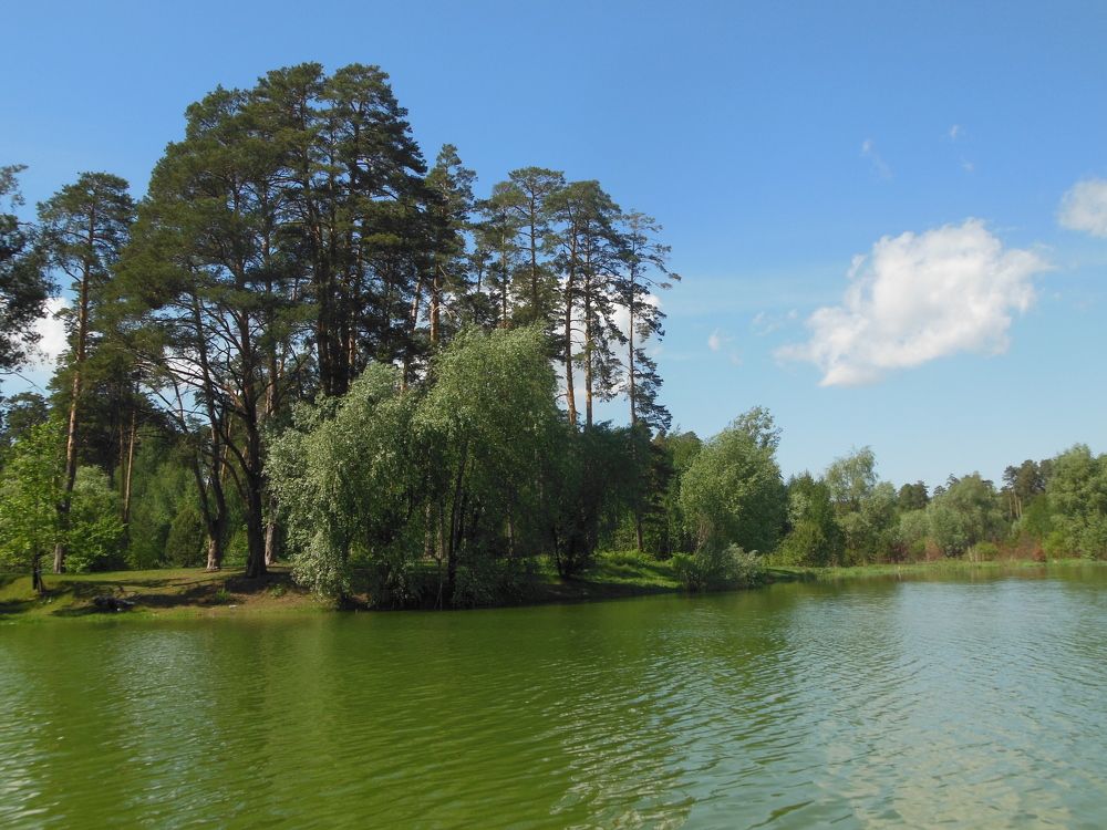 Photograph by Светлана Батурова