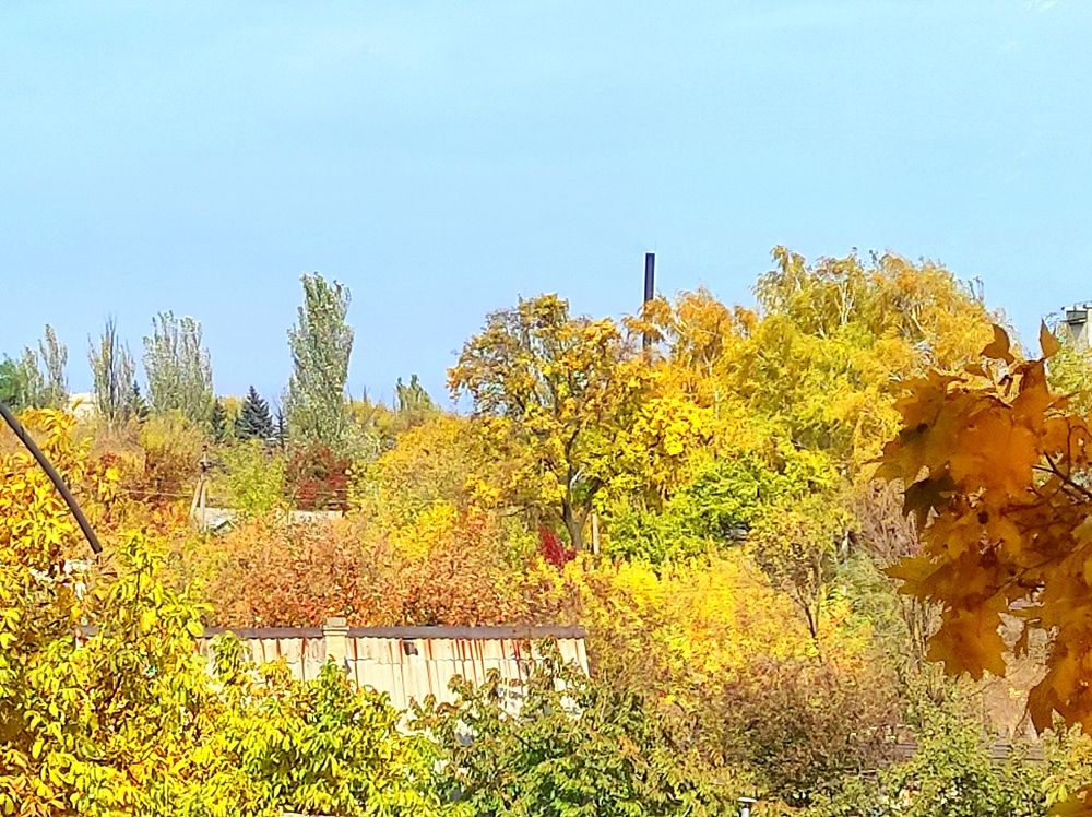 Photograph by Яна Сиволобова