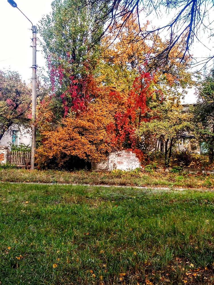 Photograph by Яна Сиволобова