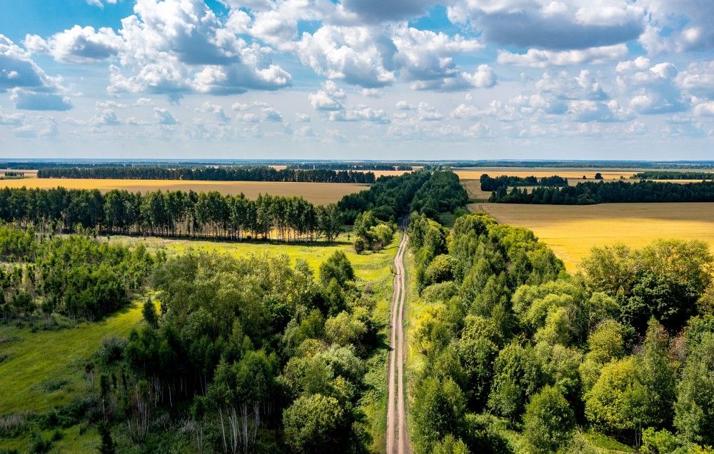 Photograph by Назаров Александр