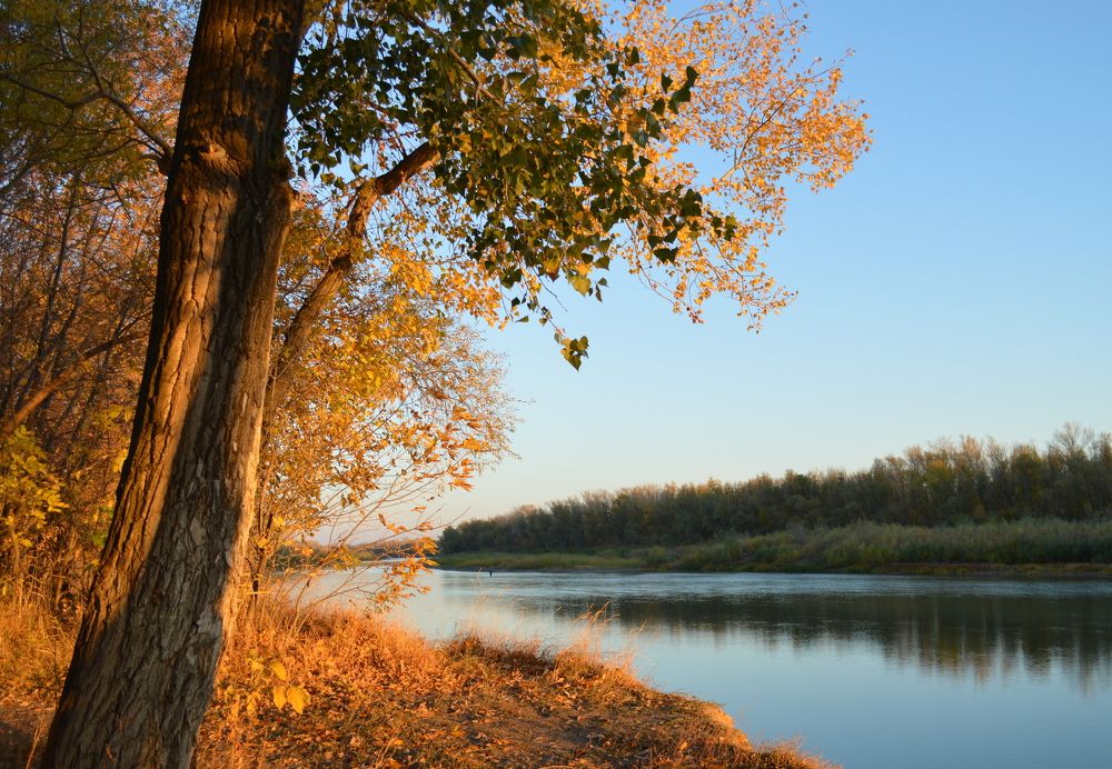 Photograph by Нина Романюк