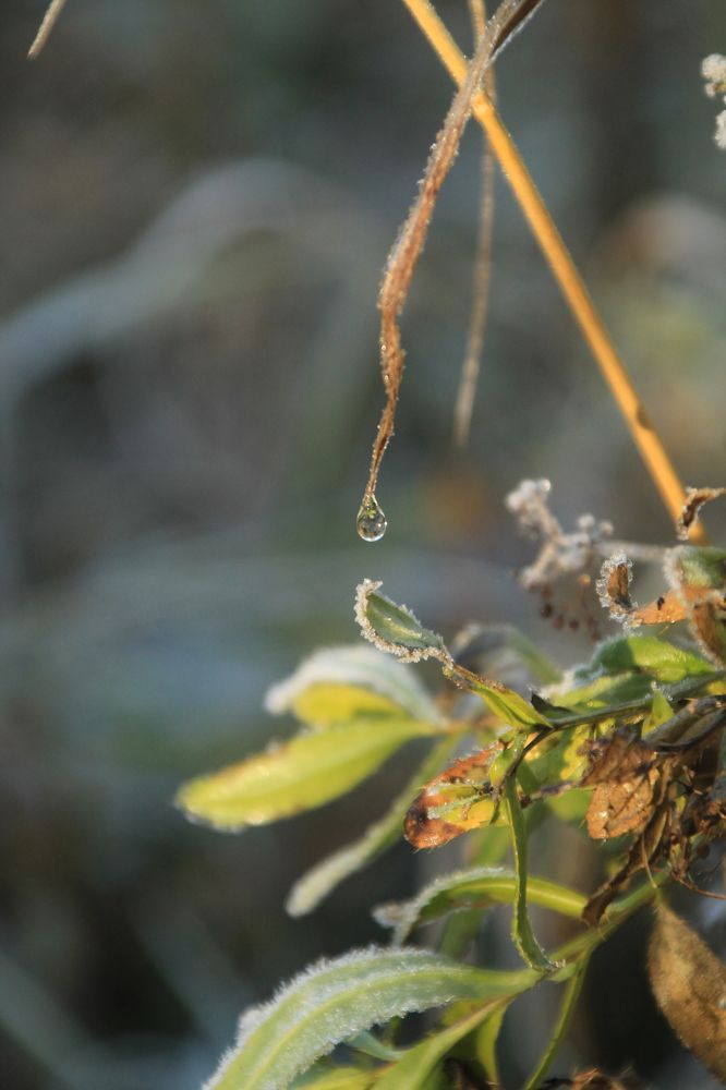 Photograph by Илья Беликов