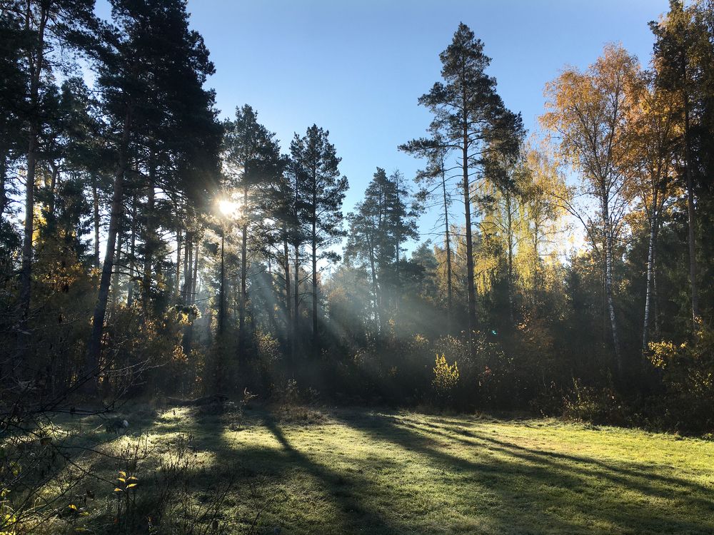 Photograph by Татьяна Ионова