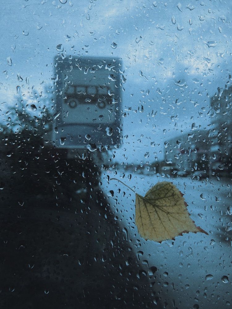 Photograph by Артём Чепров